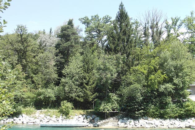 F&auml;hre Bodenacker - 2017-07-18