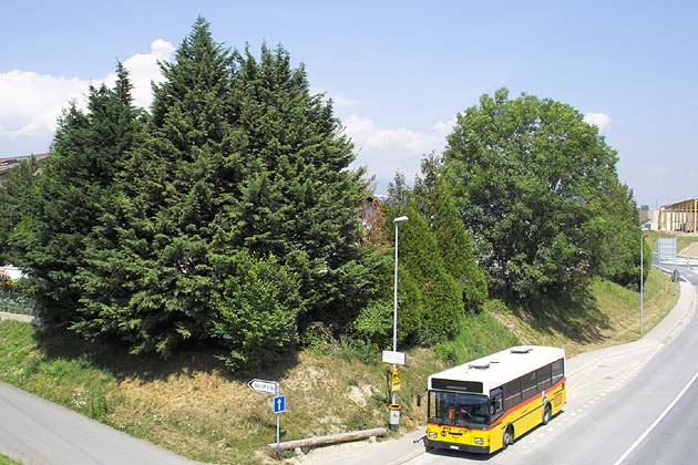 ARCC Etoy - 2004-07-19 ARCC Etoy - 2004-07-19