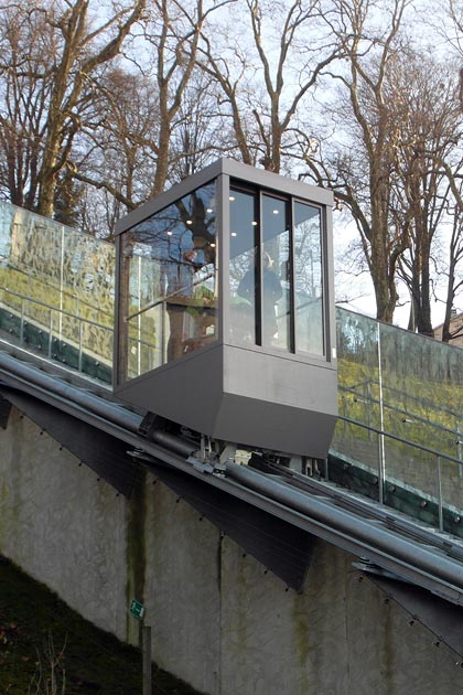 BärenPark Bern - 2015-12-20 BärenPark Bern - 2015-12-20