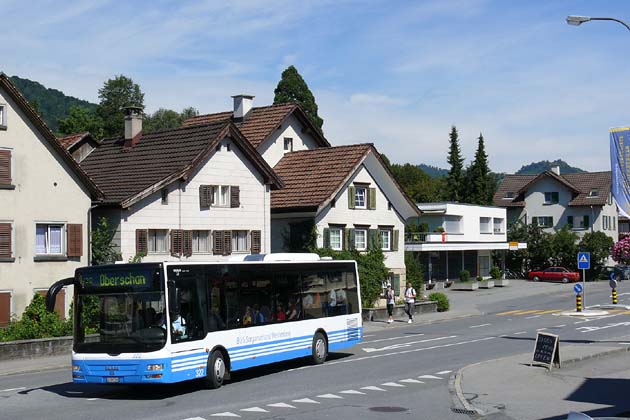 BOS Wartau Tr&uuml;bbach - 2008-08-11