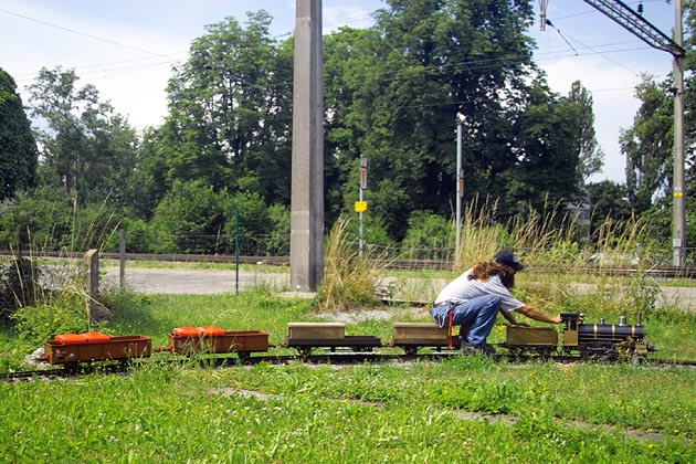 Scherzingen - 2006-07-09