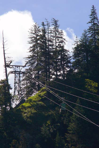 GTBE Elm - 2007-08-05 GTBE Elm - 2007-08-05