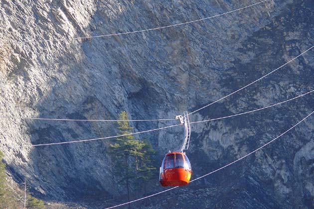 Feldis - 2007-01-11 Feldis - 2007-01-11