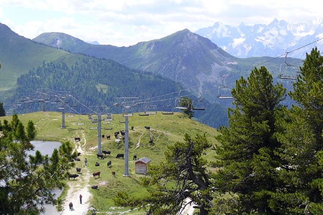 NVRM Nendaz - 2008-08-04