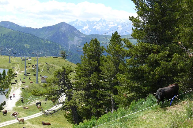 NVRM Nendaz - 2008-08-04