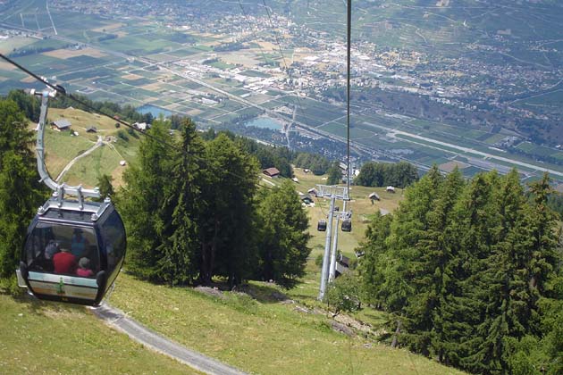 NVRM Veysonnaz - 2008-07-29