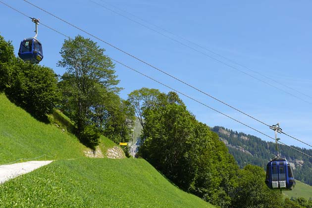 SBE Elm - 2007-08-05 SBE Elm - 2007-08-05