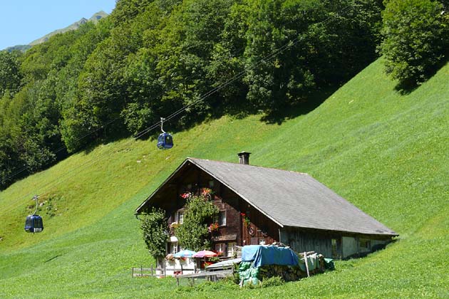 SBE Elm - 2007-08-05 SBE Elm - 2007-08-05