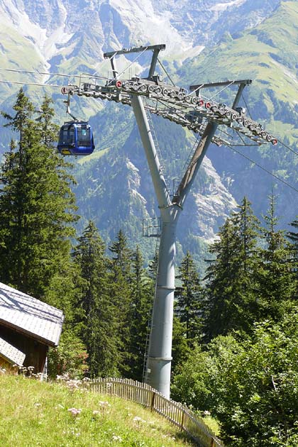 SBE Elm - 2007-08-05 SBE Elm - 2007-08-05