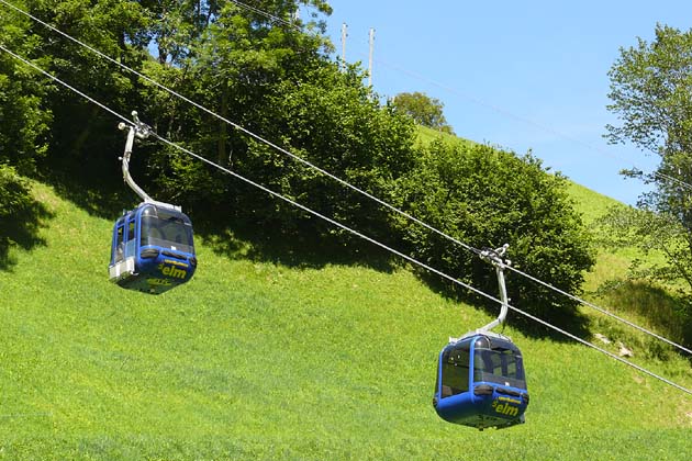 SBE Elm - 2007-08-05