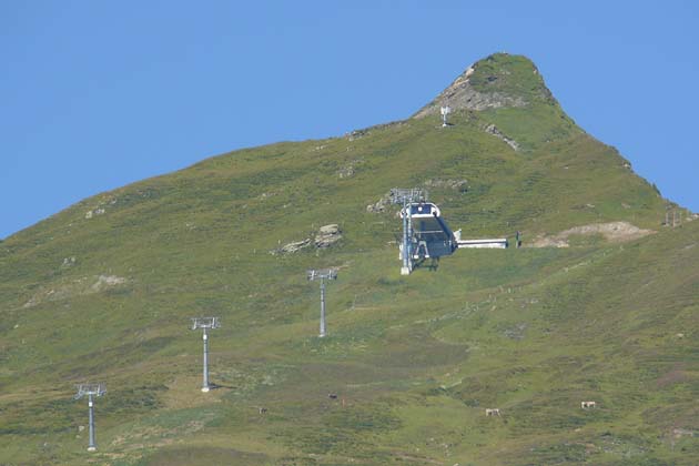 SBE Elm - 2007-08-05 SBE Elm - 2007-08-05