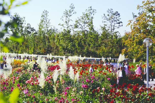 IGA 83 - 2005-06-00 IGA 83 - 2005-06-00